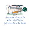 PTMU ธาราบำบัดในผู้ที่ปวดหลัง