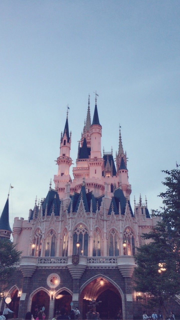 跟著萱萱出發去旅遊✈️公布欄只貼不回