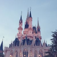跟著萱萱出發去旅遊✈️公布欄只貼不回