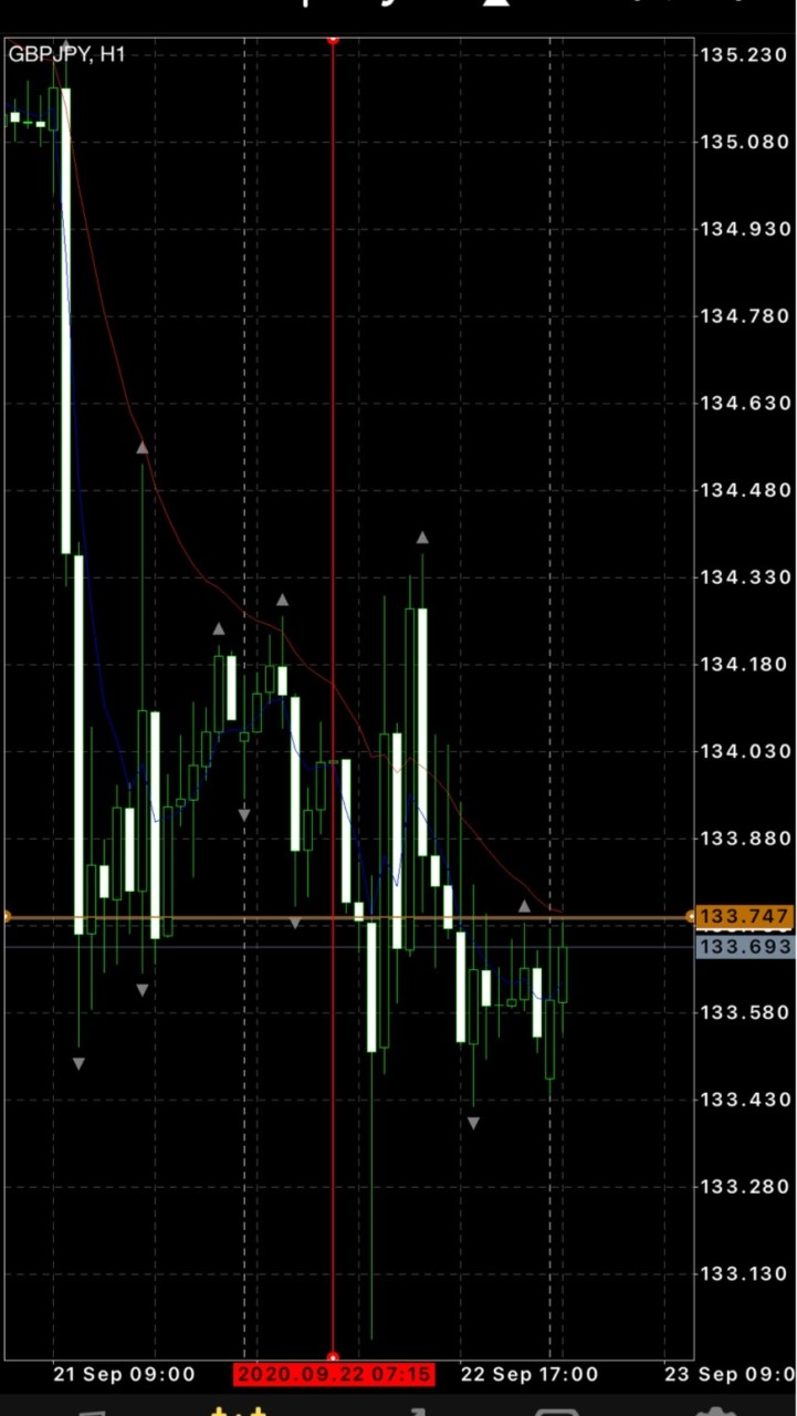 ㊙️毎日FX 結果が全て！配信　日給を稼ごう！のオープンチャット