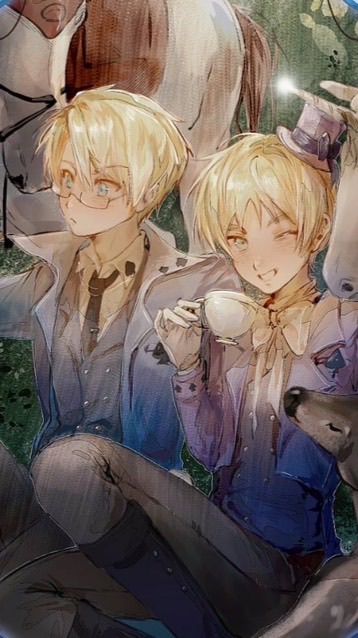 コテメ隠しな  APH  激緩也 ‼️‼️