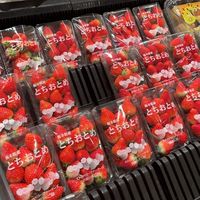 芮媽旅遊分享