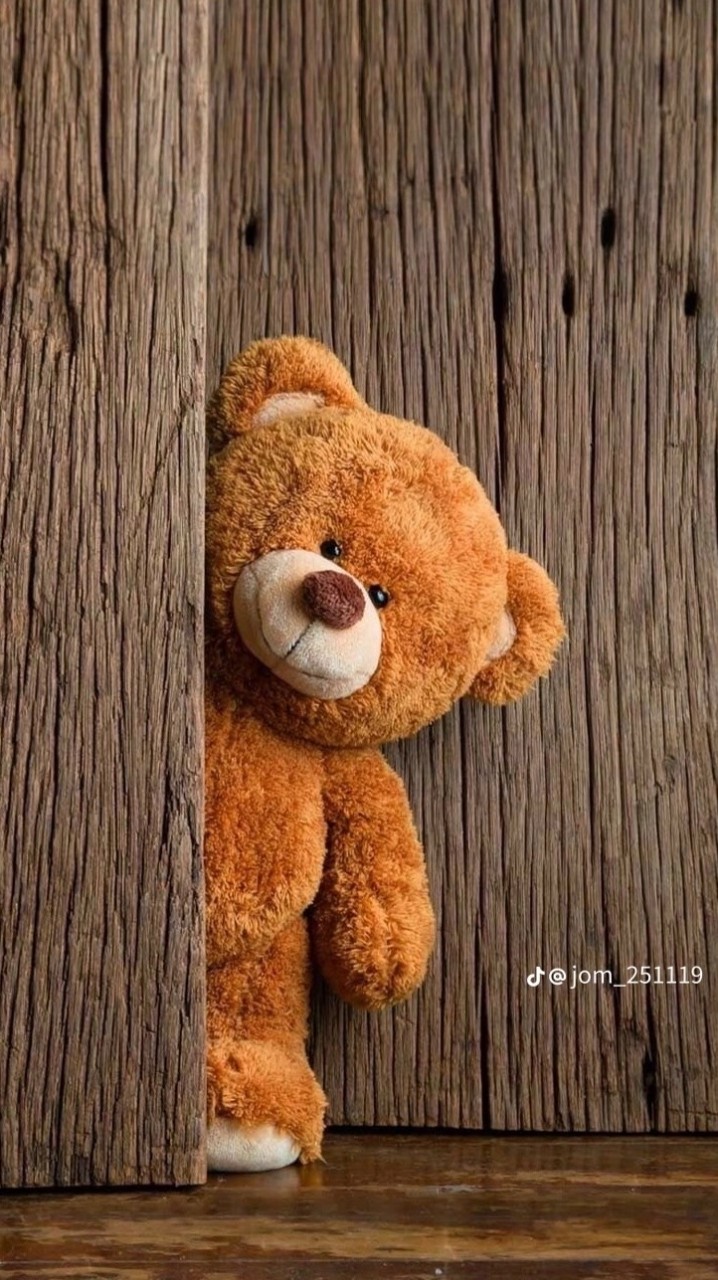 เก็บของ
