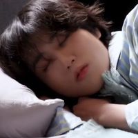 ハニオプ🐿　StrayKids HAN推しの大人STAY集まれꔛ