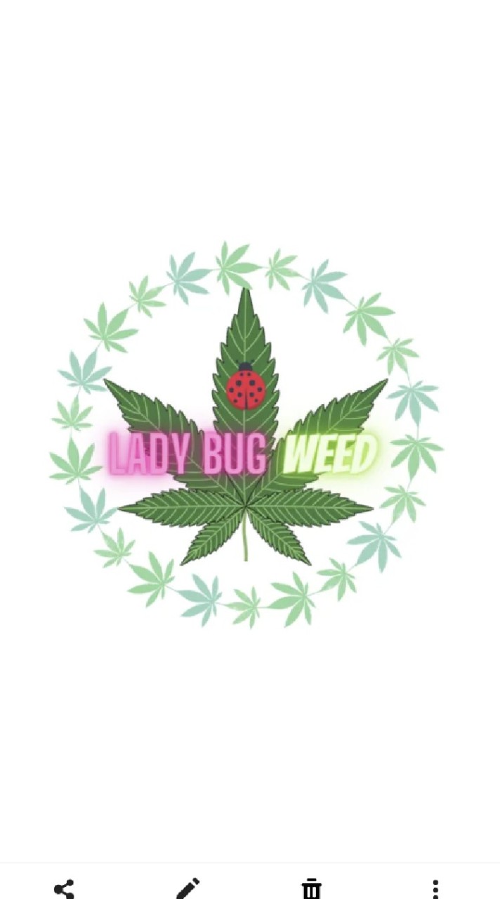 OpenChat LADY BUG WEED 🐞🍁