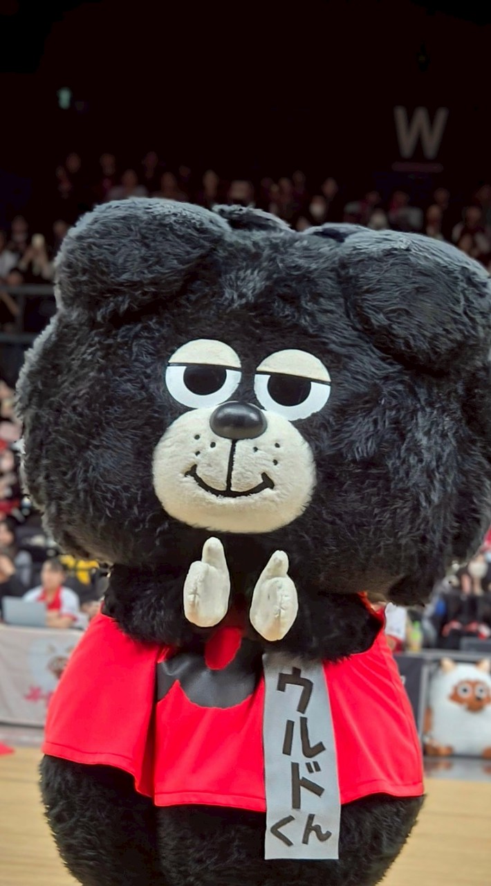 【ド援】ウルドファン 応援文化作成企画