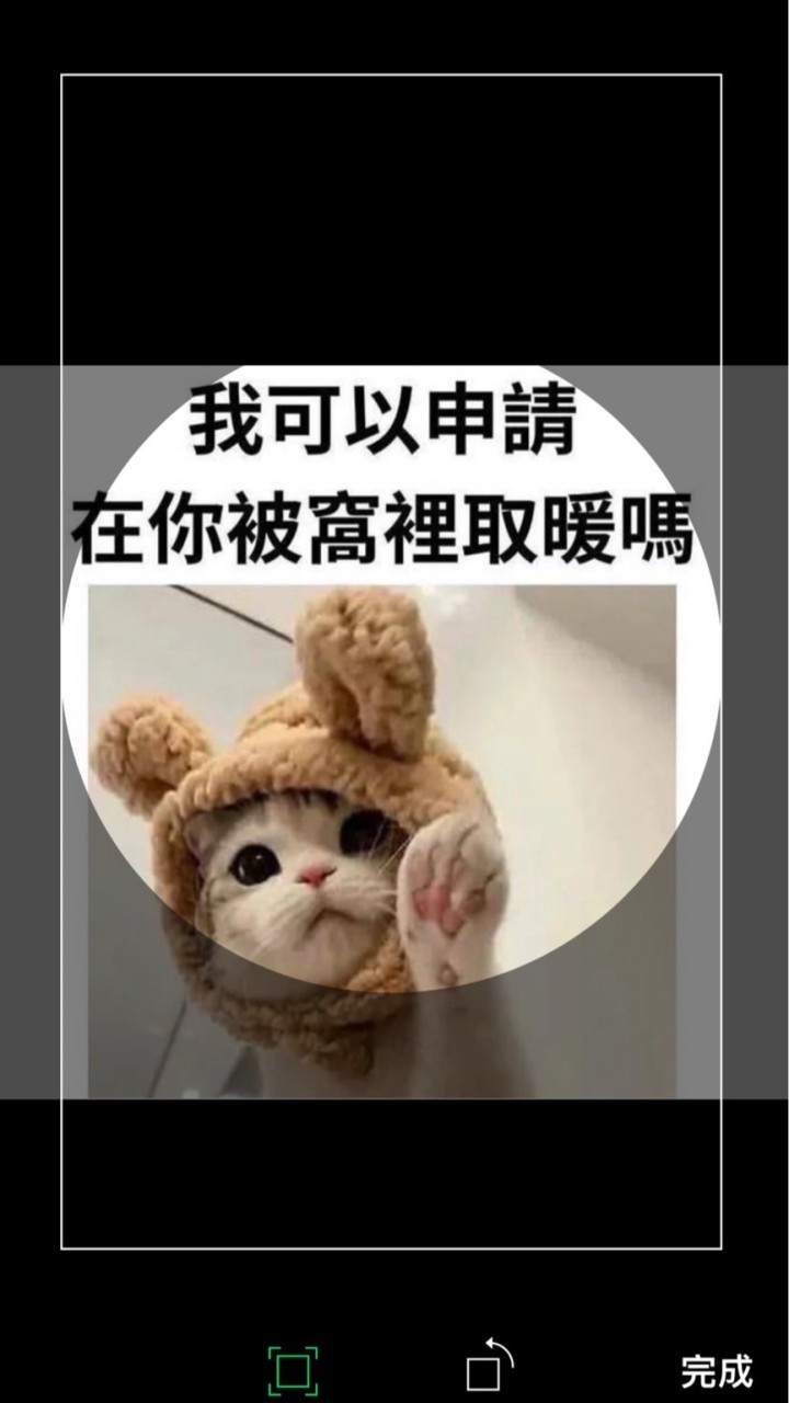 🧧紅包群