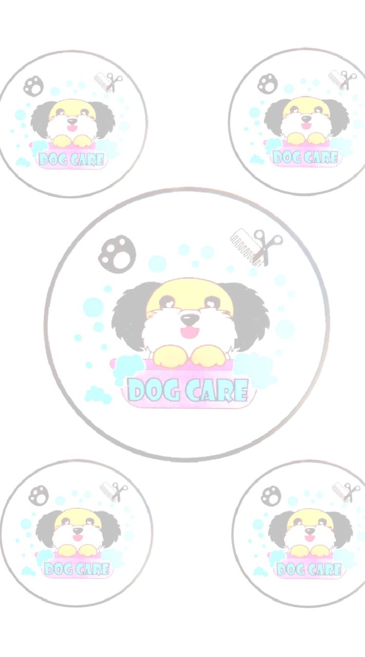 ร้านด็อกแคร์ อาบน้ำตัดขน บึงกาฬ