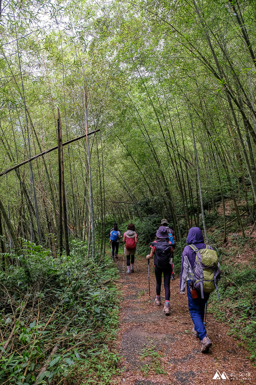 山女孩Melissa_雲嘉七連峰_獨立山_大籠頂_太平山_梨子腳山-7833.jpg