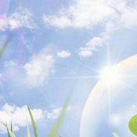 🌿50代60代  お一人様🚶‍♂️雑談しませんか？🤔