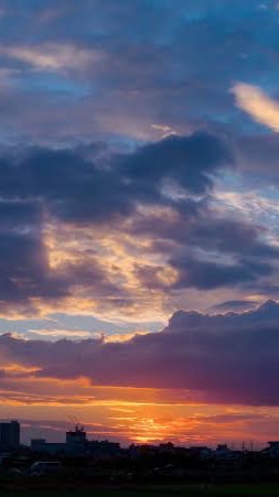 全_也（アニメ・ドラマ）