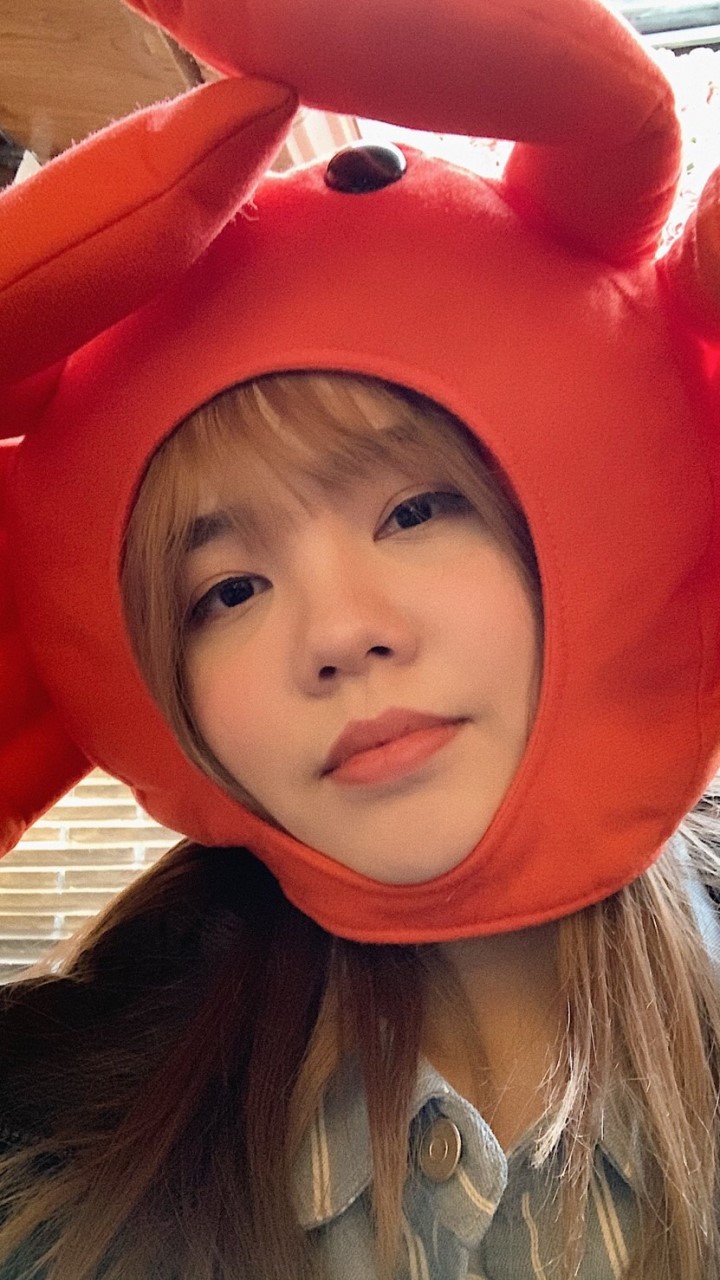 pinedumplingdiaries