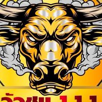 ข่าวสาร 🐂 ทีเด็ดวัวชน 111⭐️ คลิปวัวชนย้อนหลัง🎞️🎬
