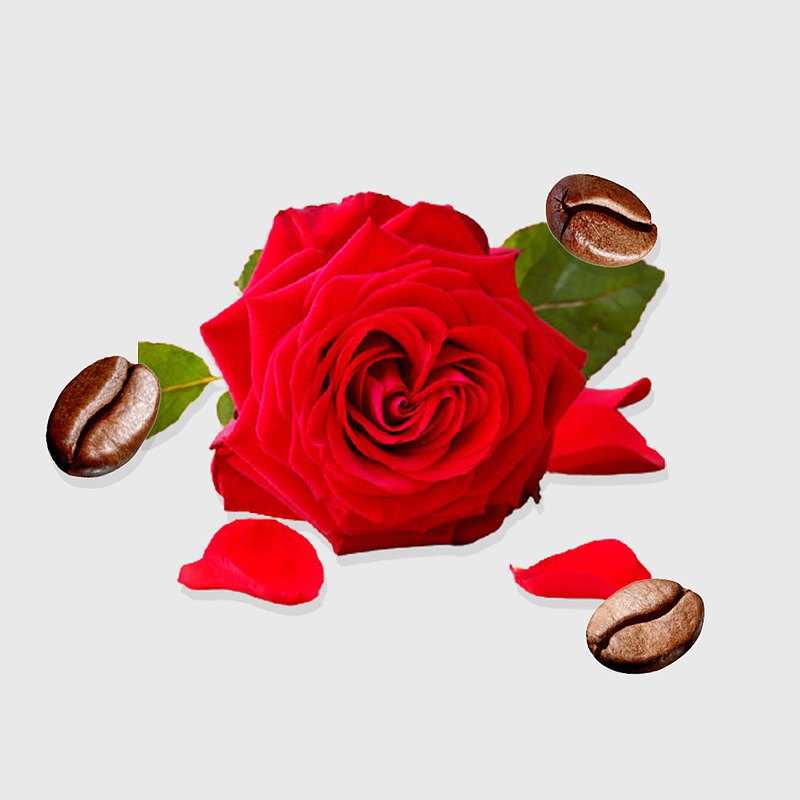 濃郁玫瑰酒香 | 衣索比亞 紅櫻桃罕貝拉 慢速乾燥 - 單品咖啡豆