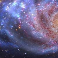 星際存有