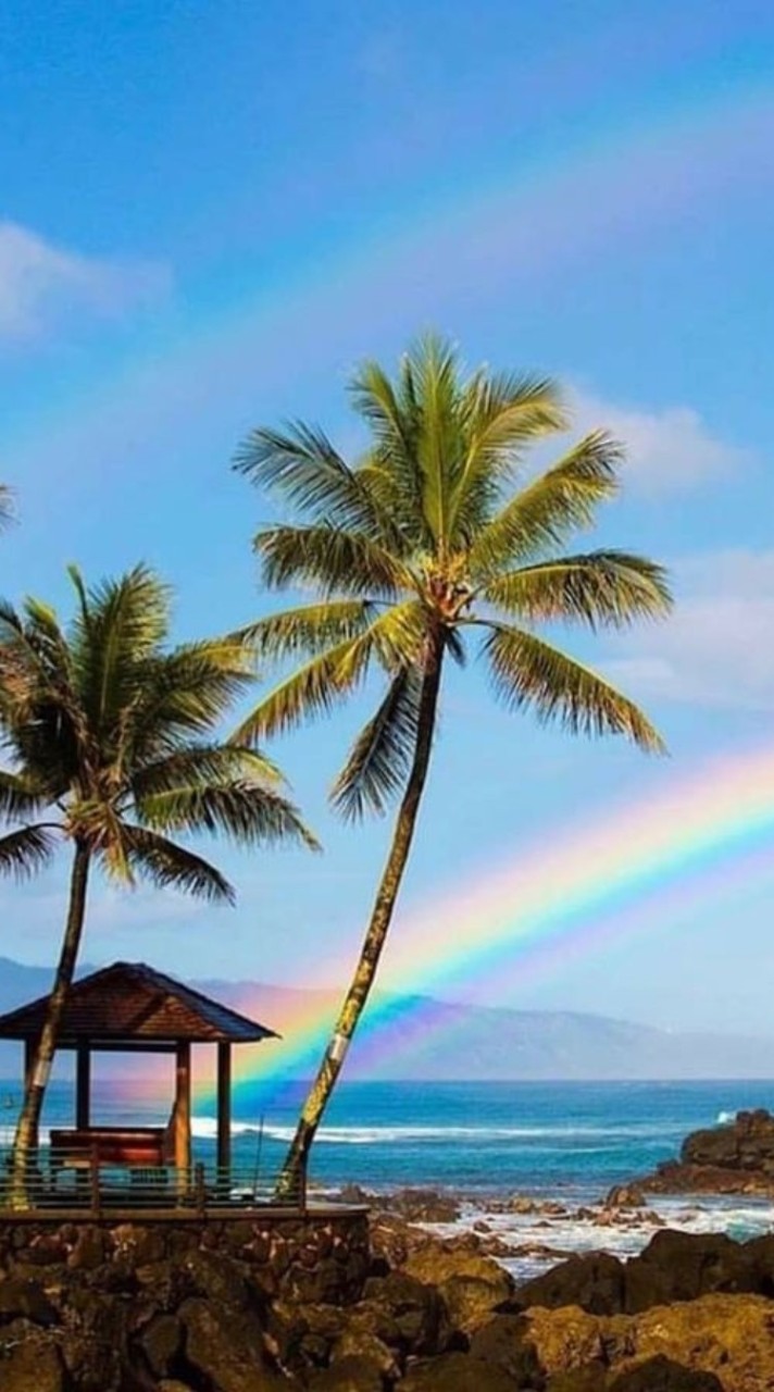 虹のふもと🌈