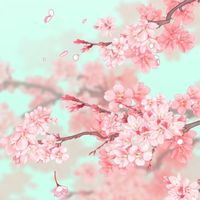 ꧁Flowers꧂