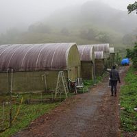 小農二代團購（堅持產地直送！產地直送！產地直送）