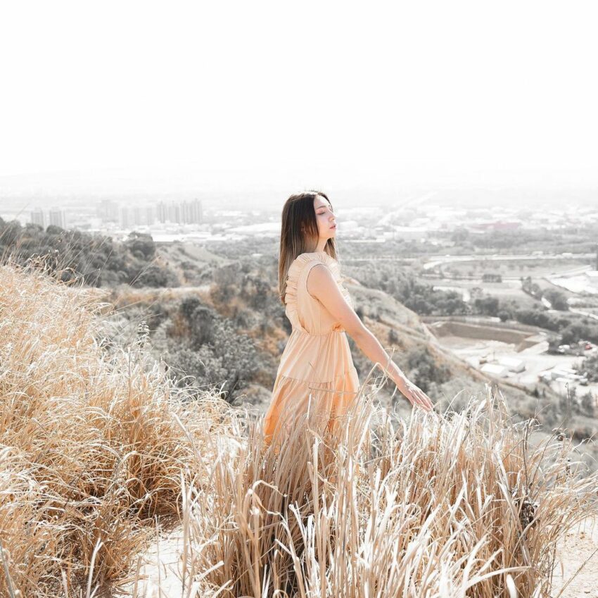 知高圳步道芒草