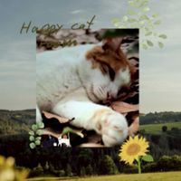 😺猫としあわせ村☘️