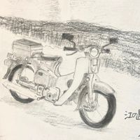 神戸カスタムカブ**KobeCustomCubRider**