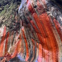 好康旅遊～採購團