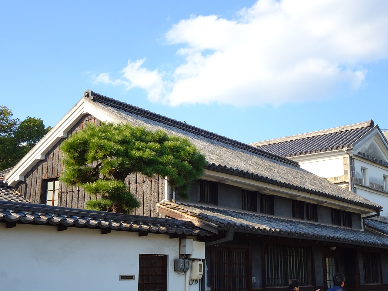 世界最輕巧，28 倍變焦的掌中長砲 Sony DSC-HX99 實拍評測