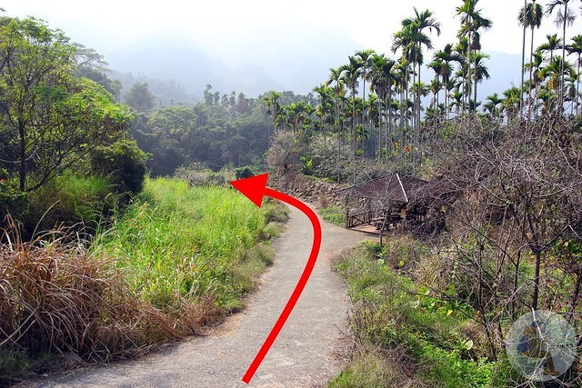 台中新社梅花秘境