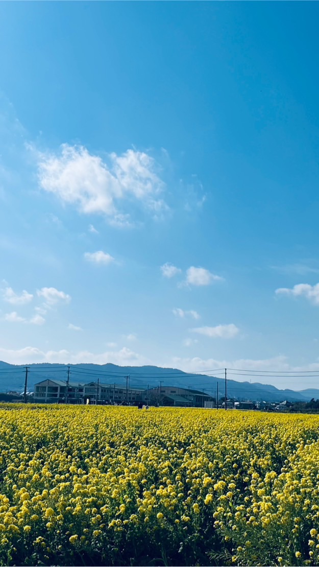 バイク好きなら大歓迎‼️ほのぼの部屋