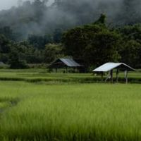 📢เพลงลูกทุ่ง - บ้านเฮา🏕️