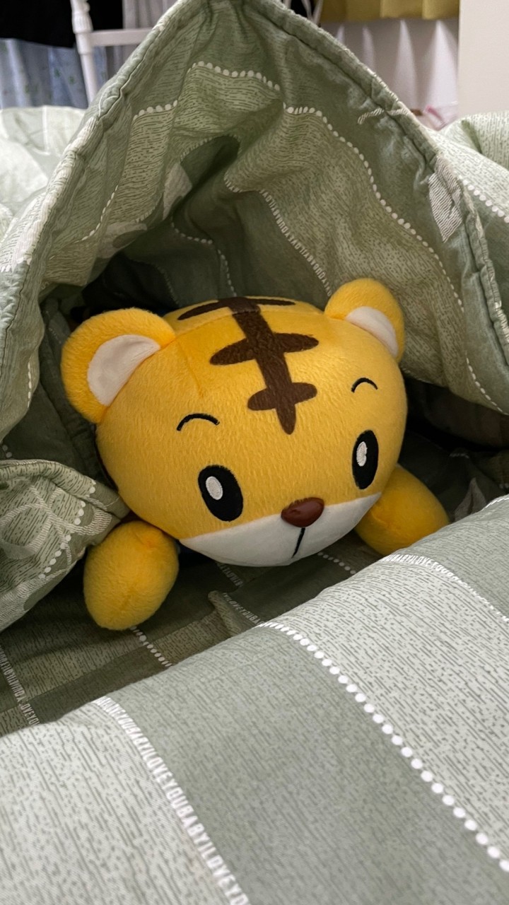 阿虎交流團🐯