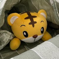 阿虎交流團🐯