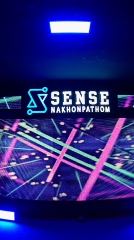 Sense