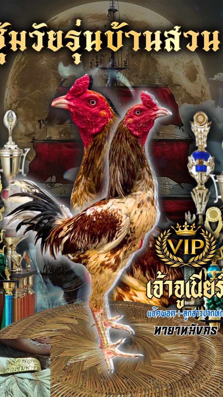 ซุ้มเพชรดาราฟาร์ม168fc