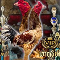 ซุ้มเพชรดาราฟาร์ม168fc