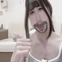 可可豆蒼蠅