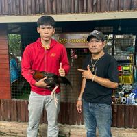 ซุ้ม ป.มั่งมา