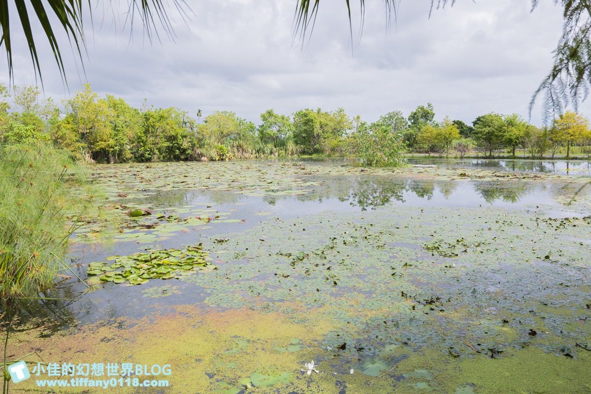 免費朝聖「台版慶修院、百萬夜景祕境」！宜蘭員山６私房景點，在地人都愛去