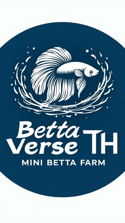 BettaVerse Exclusive Auction ✨ ปลากัดคัดพิเศษ