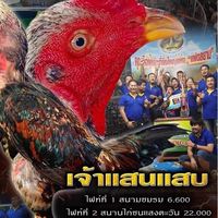 ทีมงาน A_Jสตาร์ & นัมเบอร์วันทีม
