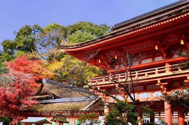 京都自由行 到能量景點上賀茂神社參拜順便逛市集 追楓者別錯過 秋季御守限定販售中 All About Japan Line Today