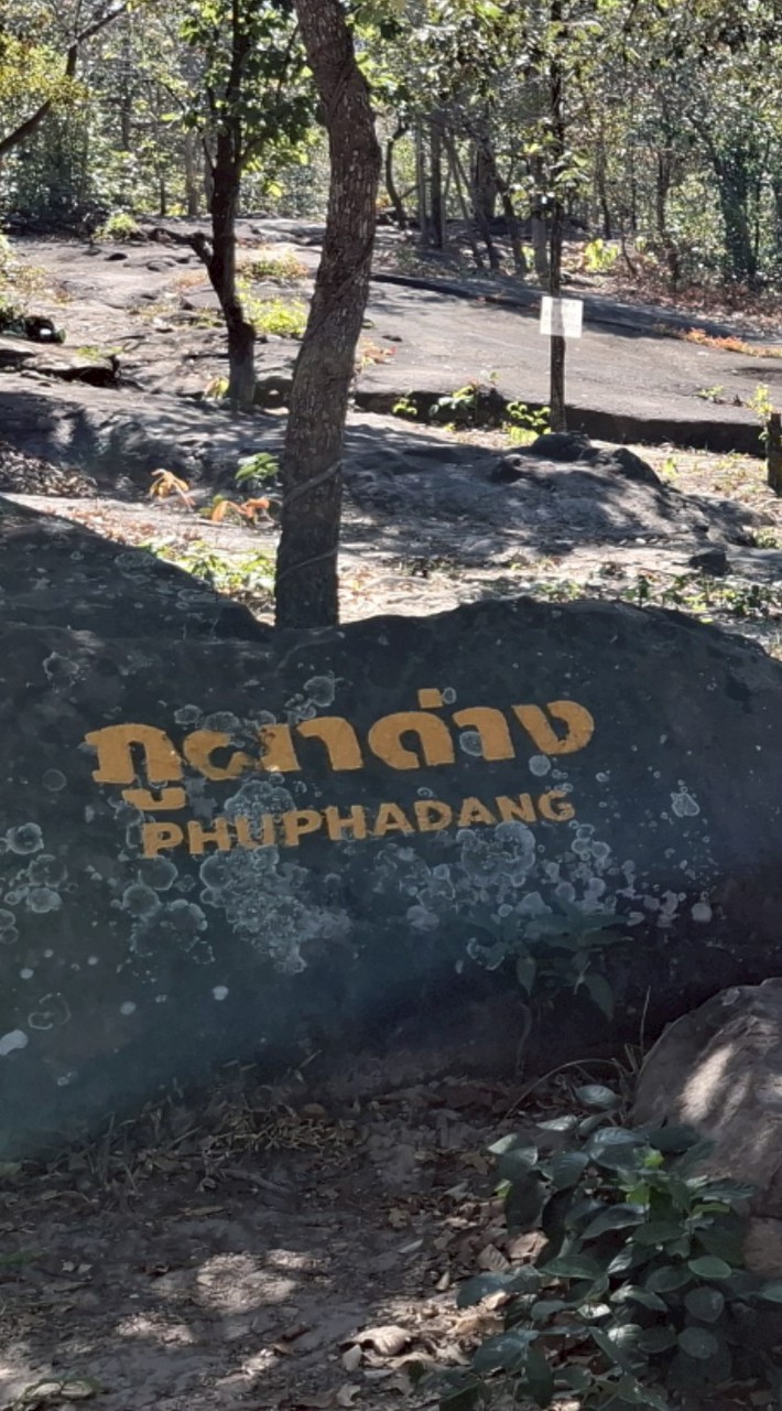 ผาด่างแคมป์ปิ้ง