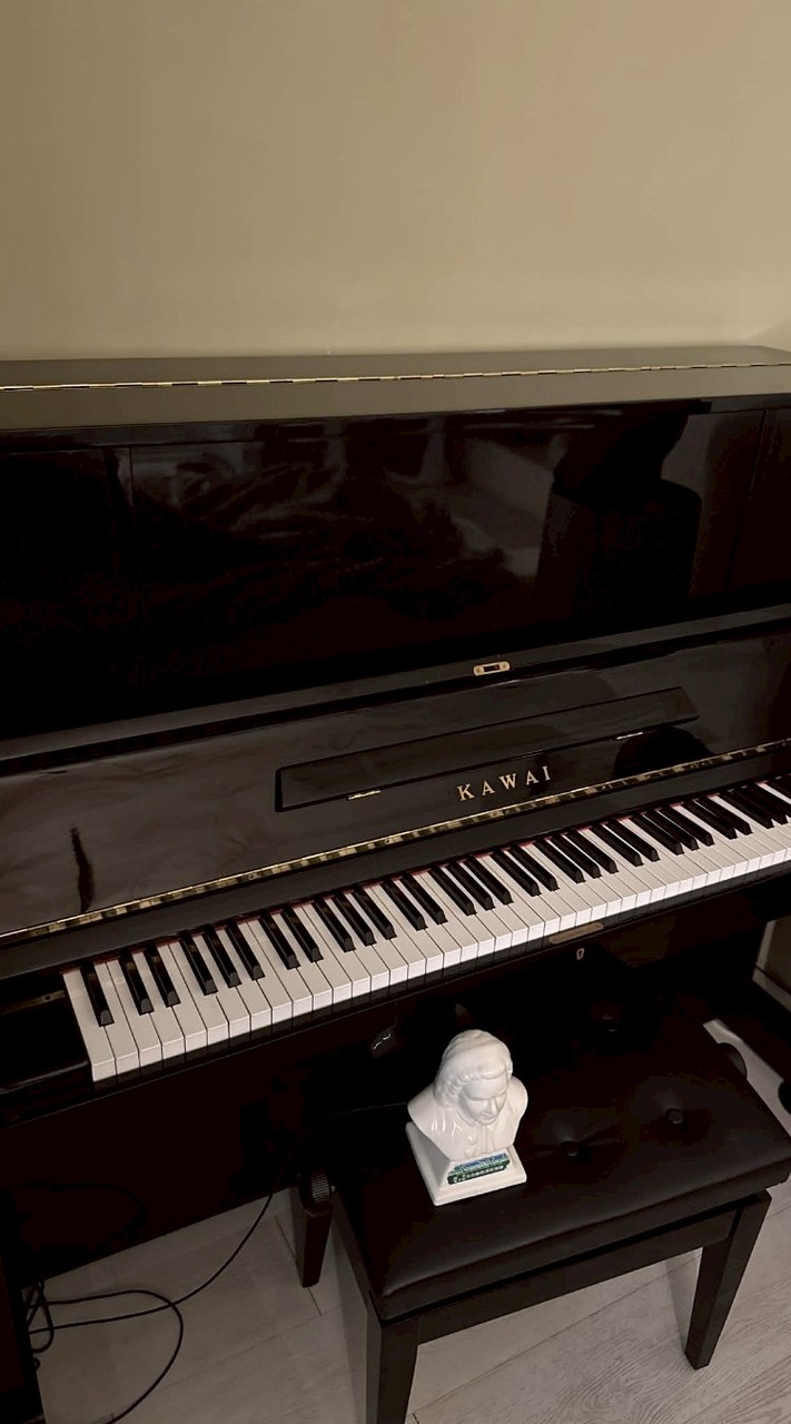 宜蘭大學鋼琴社