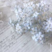 STARTOに甘えられたい