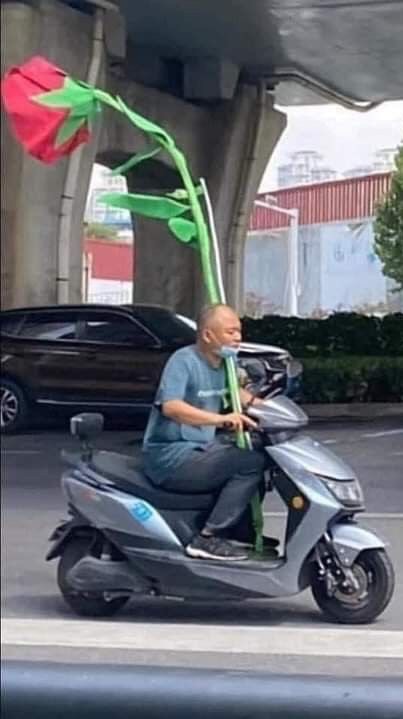 北北基宜Gogo出門去