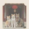 【🌙猫神結社🪬】不思議体験をシェアする秘密結社🐾