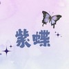 紫蝶 🦋 流行服飾/團購