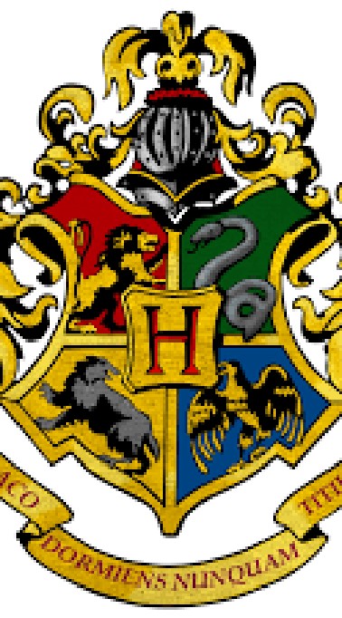 Hogwarts world