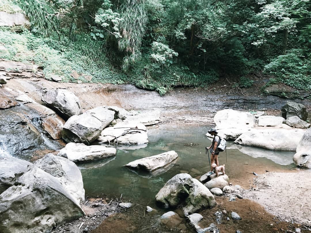 ９條不能錯過的新北網美登山步道｜跟著網紅走進新北登山步道！