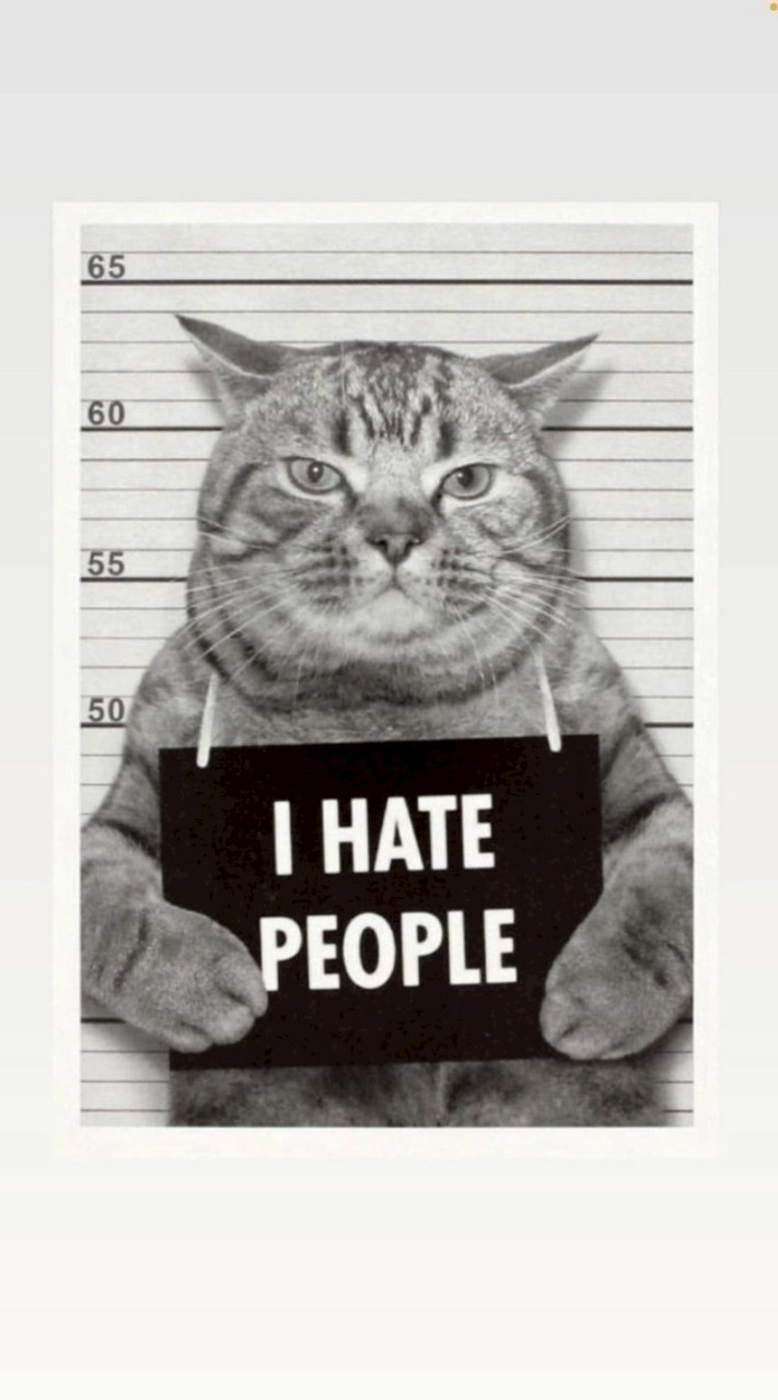 นายทาส นครปฐม BDSM